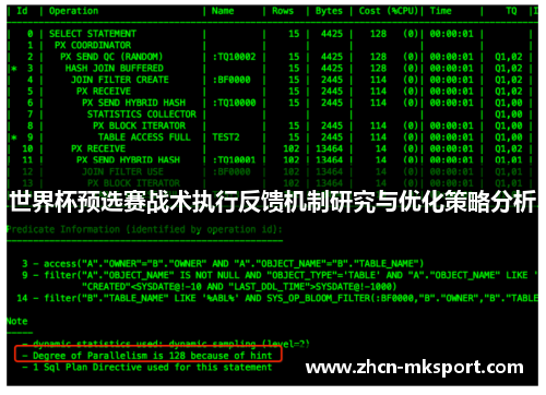世界杯预选赛战术执行反馈机制研究与优化策略分析